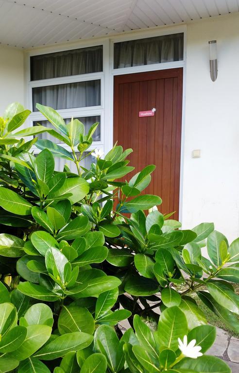 Fare Suisse Tahiti - Guesthouse بابيت المظهر الخارجي الصورة